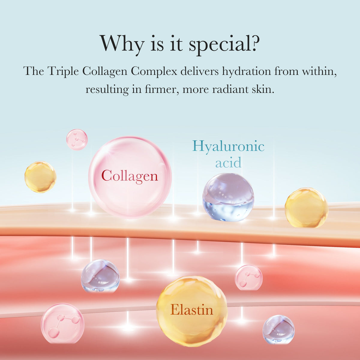 triple-collagen-cream-n6 04_8e4e330d-7d9c-4ff0-93ec-ea541093220c.jpg