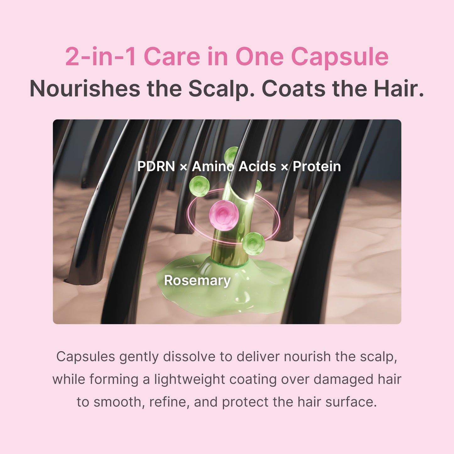 rosemary-pdrn-hair-and-scalp-conditioner-h7 US_ME_RosemaryConditioner_th05.jpg